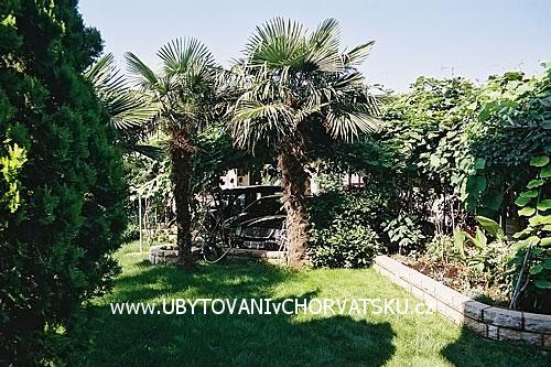 Apartmani BOS-KO – foto 3