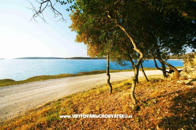 Apartmani Centar Bale – foto 8