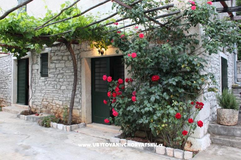 Casa Morgani – foto 2