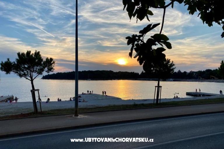 Peputo Luxury Mobile Homes – foto 16