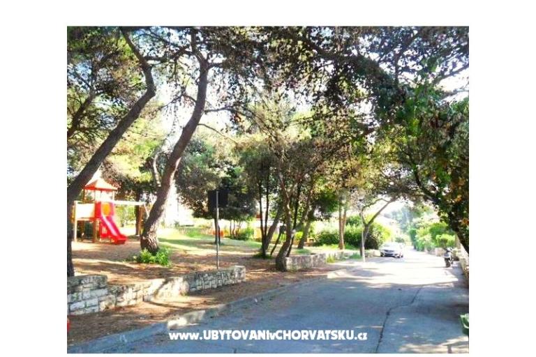 GREEN GARDEN & BUENA VISTA  – foto 8