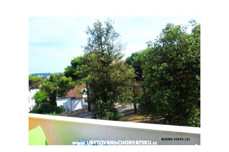GREEN GARDEN & BUENA VISTA  – foto 9