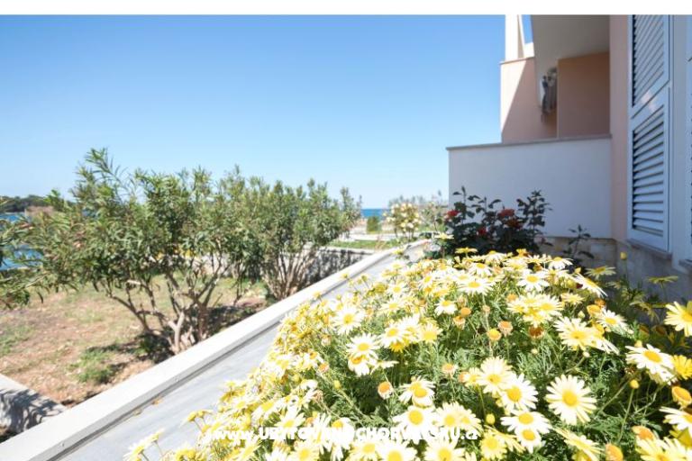 Apartmani Carić – foto 6