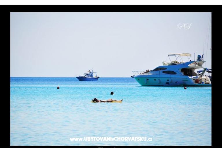 Apartmani  Zaglav Dugi otok  – foto 12