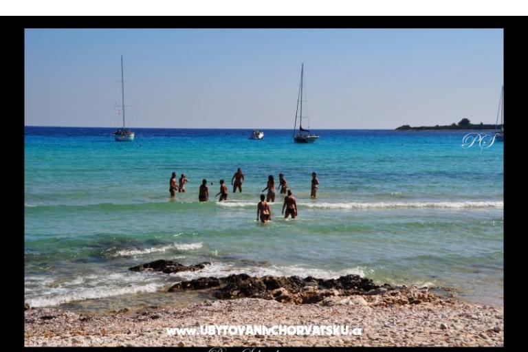 Apartmani  Zaglav Dugi otok  – foto 9