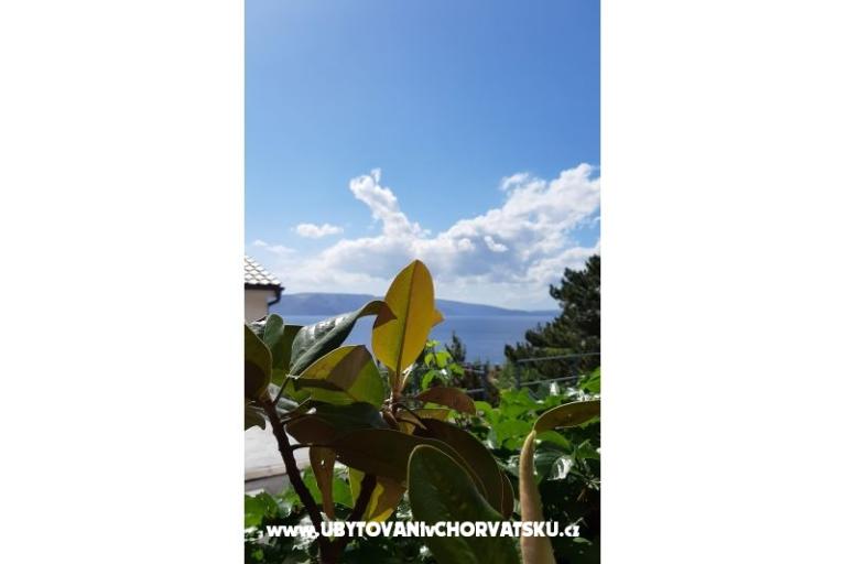Apartmani  MaDi  – foto 8