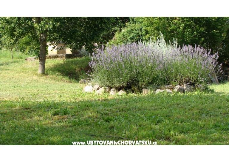 Kuća za odmor Biserka – foto 10