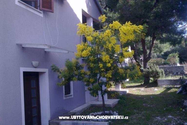 Apartman Katarina – foto 8