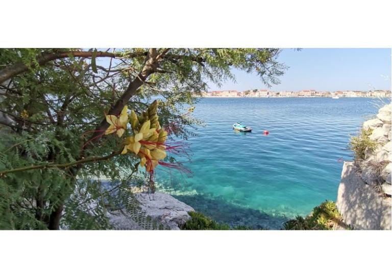 Apartman Mare – foto 18