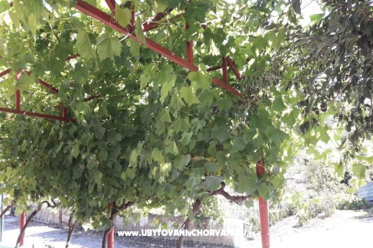 Apartman Stara kuća  – foto 3