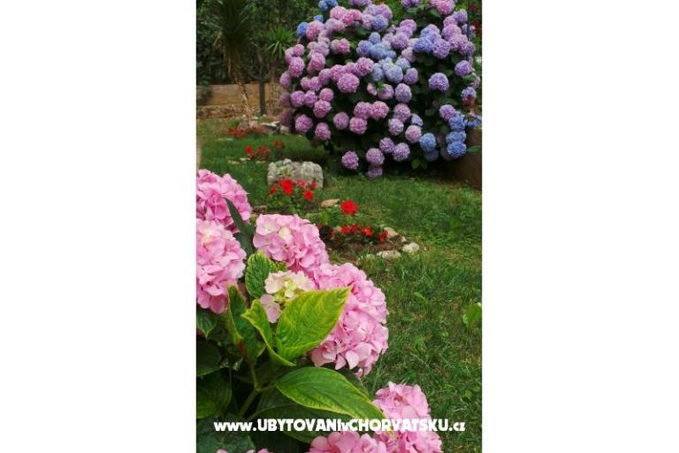 Apartman Tomić – foto 9