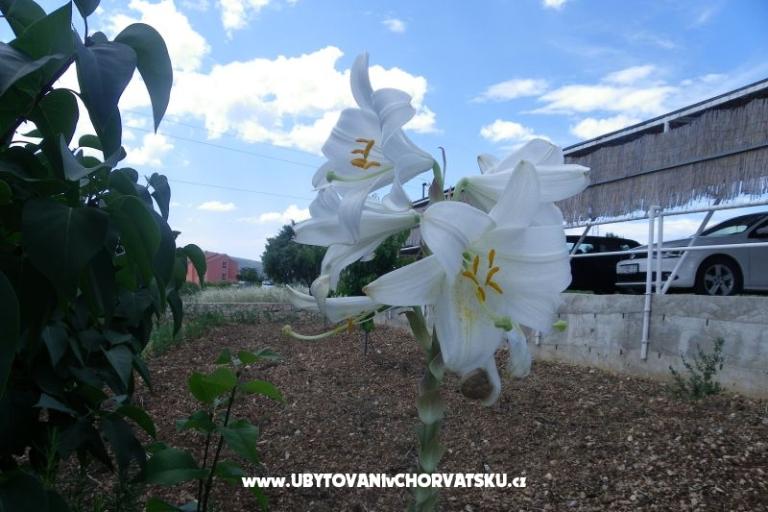 Apartmani Ante-Gojko – foto 11