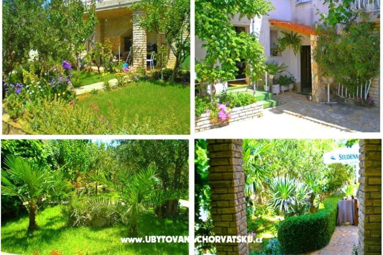 Apartmani Antić – foto 14