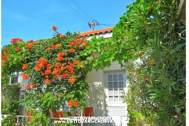 Apartmani Antić – foto 3
