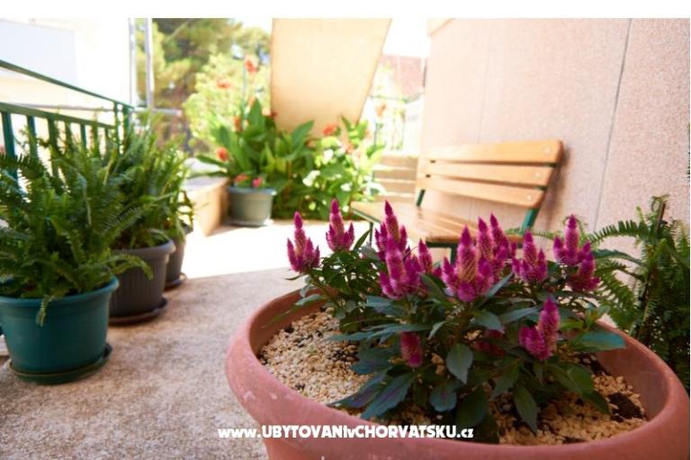 Apartmani Baković – foto 7
