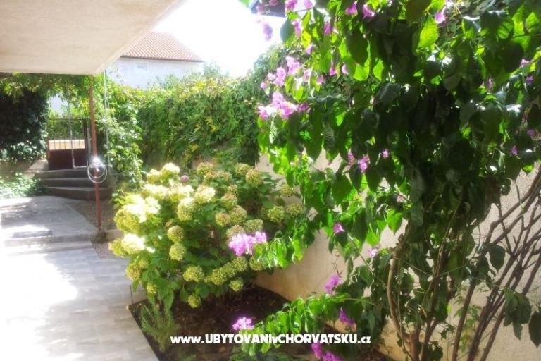 Apartmani Baranovic – foto 18