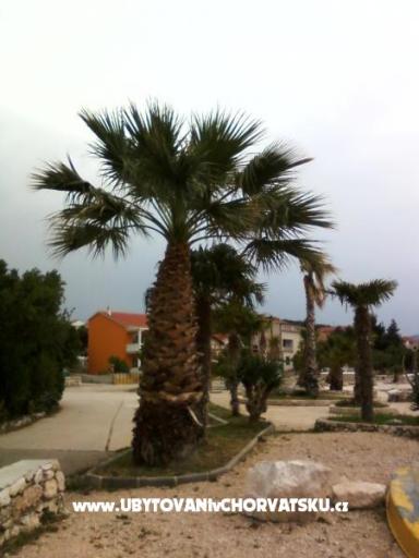 Apartmani Ljiljana  – foto 9
