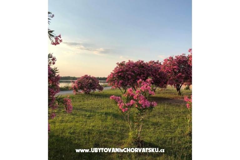 Apartmani Tin&amp;Tin – foto 15