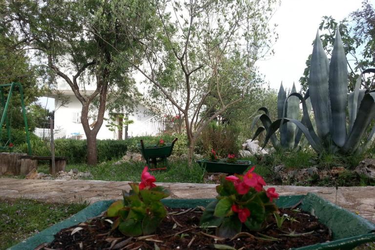 Apartmani Vlado – foto 7
