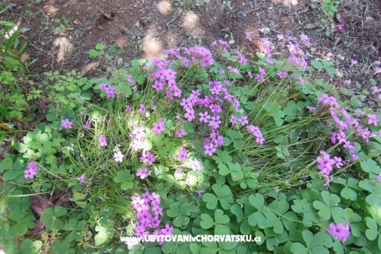 Holidayhome Oleander – foto 13