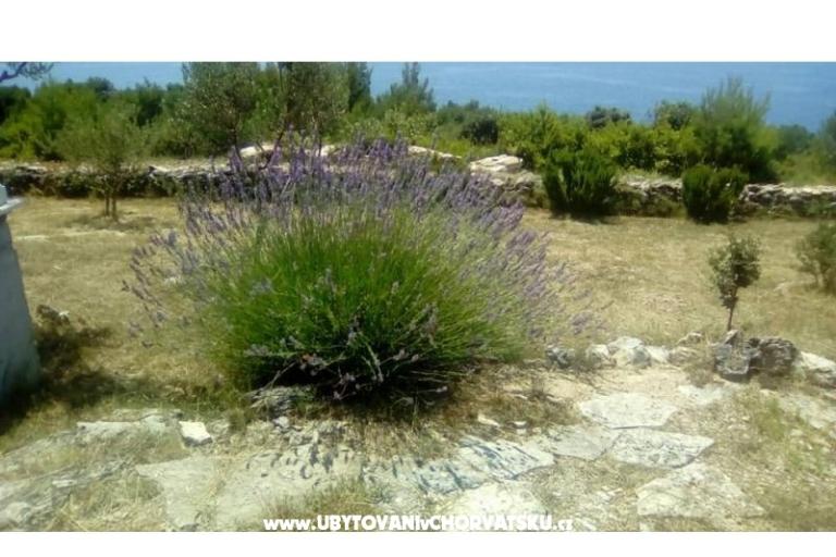 Apartmani Villa Mare – foto 9