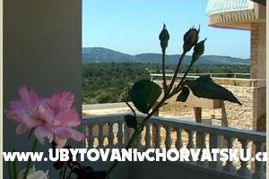 Villa Plavi biser – foto 17