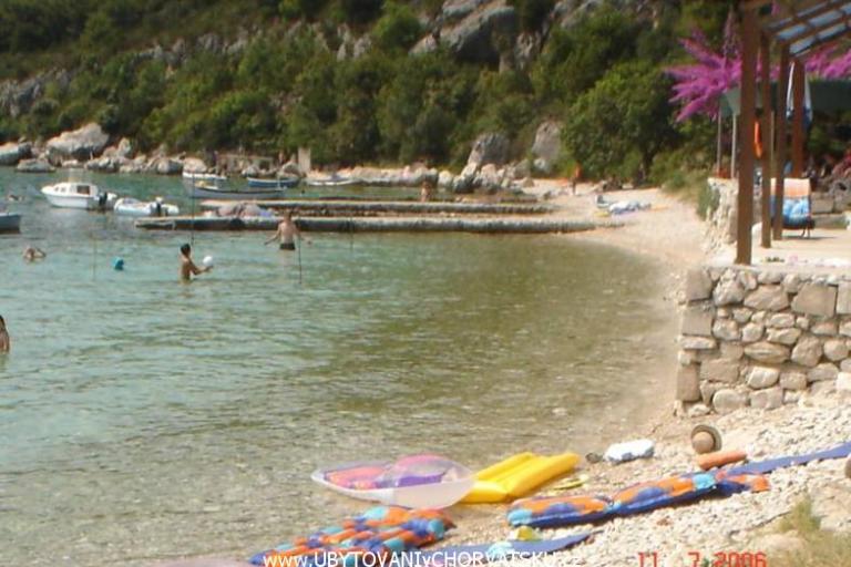 Kamp -Apartmani-Sladenovici – foto 4