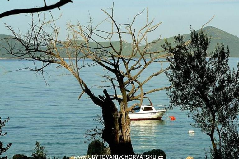 Kamp -Apartmani-Sladenovici – foto 5