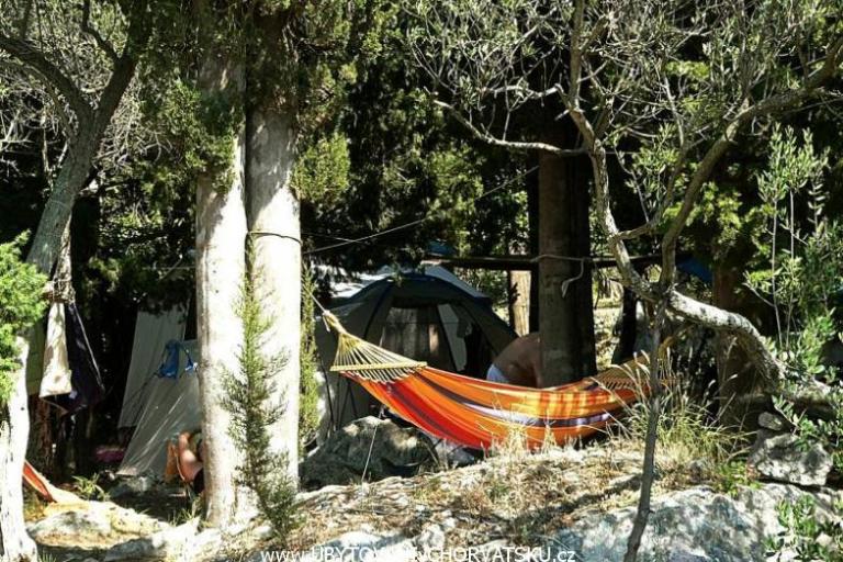 Kamp -Apartmani-Sladenovici – foto 6