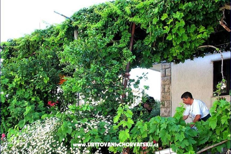 Pansion Lobrović – foto 8