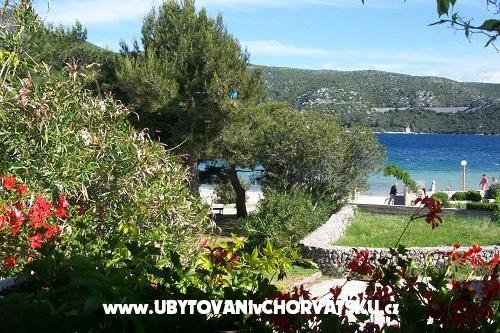 Apartmani POLAČA - Slano – foto 9