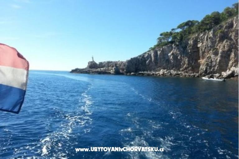 Villa Dube Slano/ villa sa bazenom – foto 16