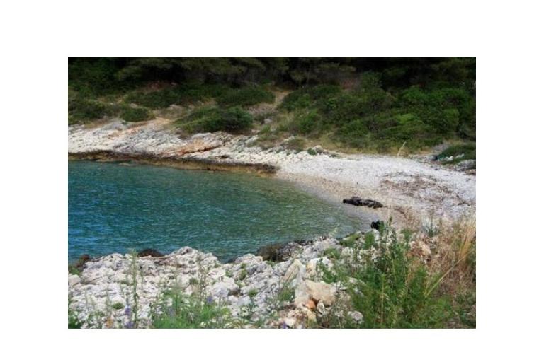 Vesna Batinic – foto 12