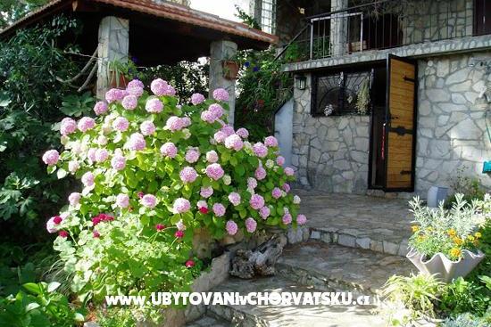 Apartmani Dada  – foto 6