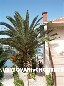 Apartmani Bosko – foto 6
