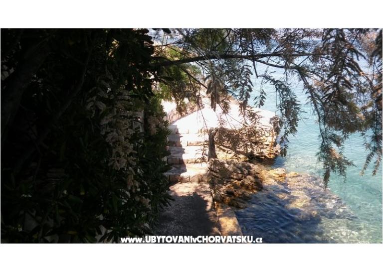 Apartmani Nikola – foto 4