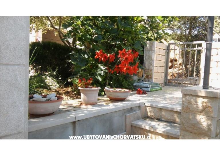 Apartmani Nikola – foto 5