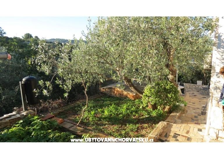 Apartmani Janja – foto 6