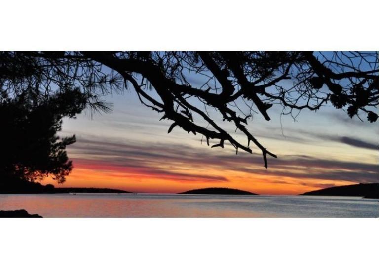 Apartmani Oliva - Otok Šolta – foto 11