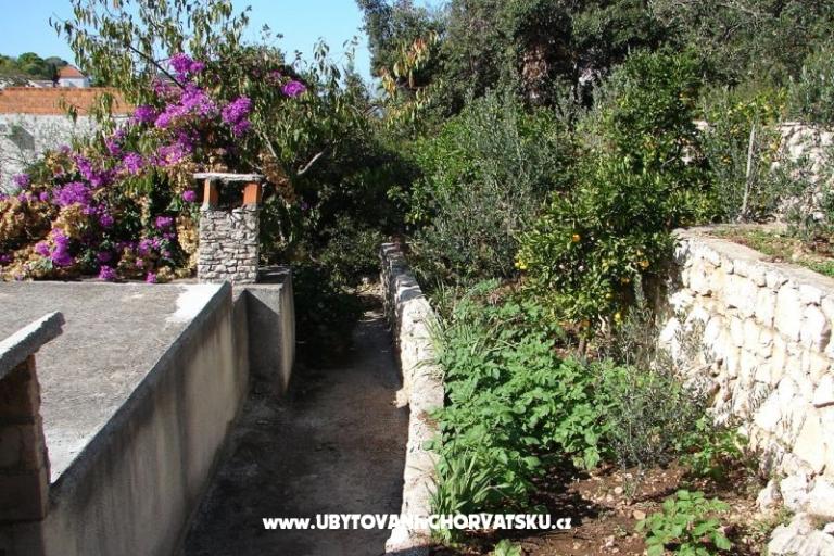 Apartman Terezija – foto 6