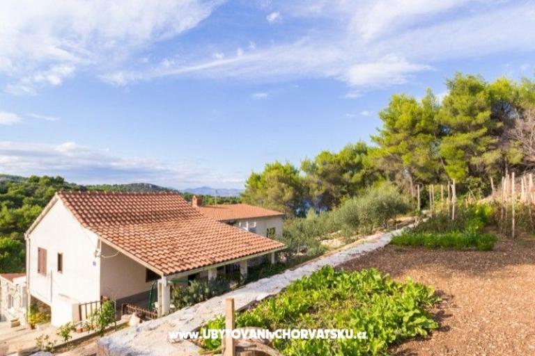 Apartmani Solta – foto 16