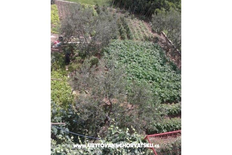 ADRIATIQ Apartmani – foto 16