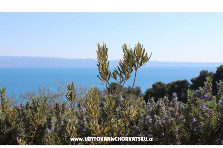 Apartmani ELI – foto 3