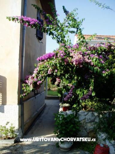 Apartman Nevica – foto 16