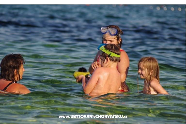Big Blue – foto 18