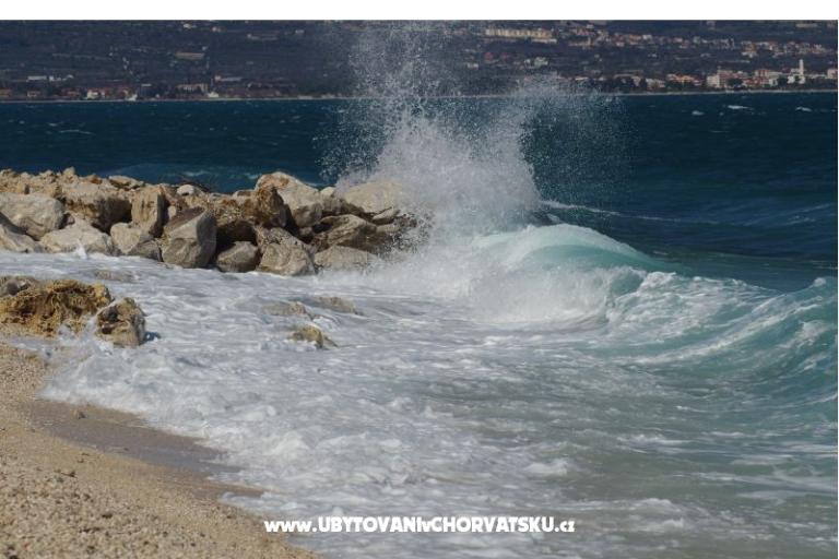 Big Blue – foto 6
