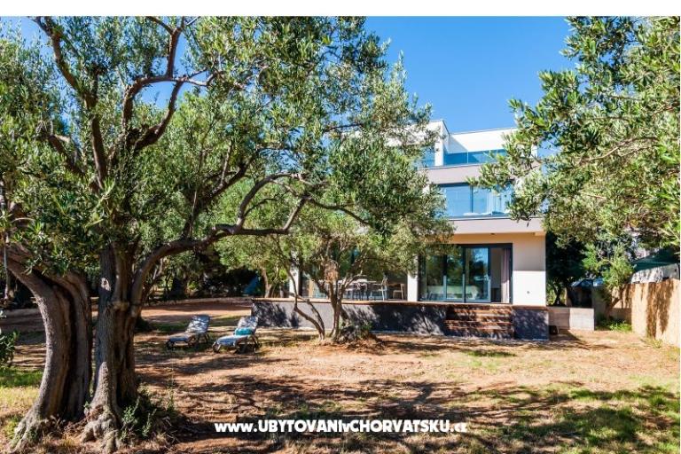 Punta Aqua – foto 5