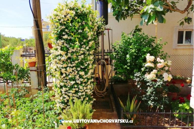 Apartmani Brković – foto 8