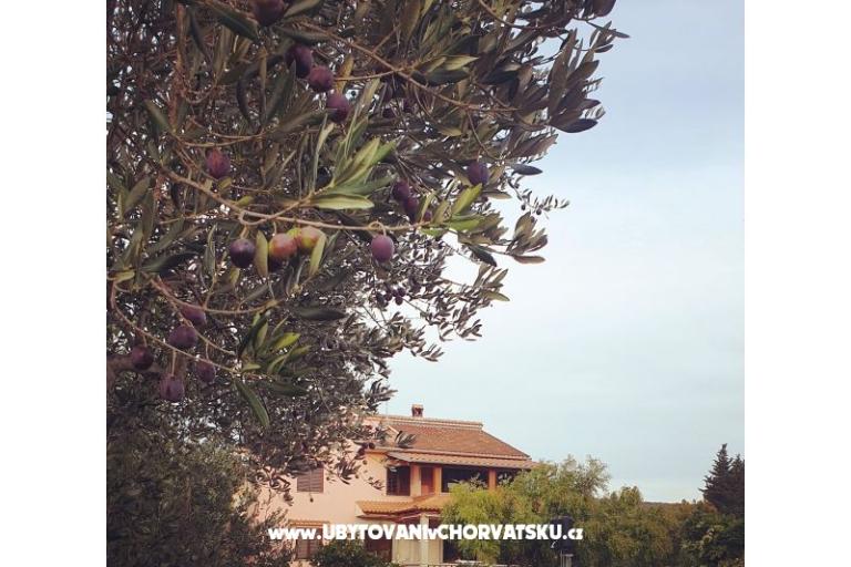 Apartmani DARIO - Sukošan – foto 14