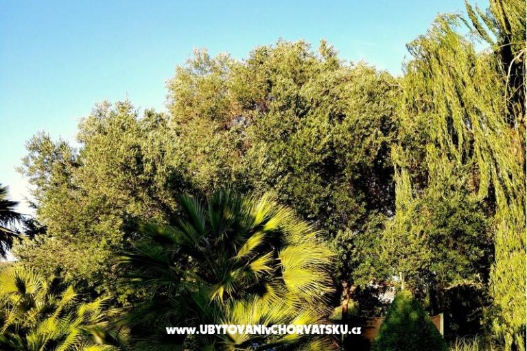 Apartmani DARIO - Sukošan – foto 37